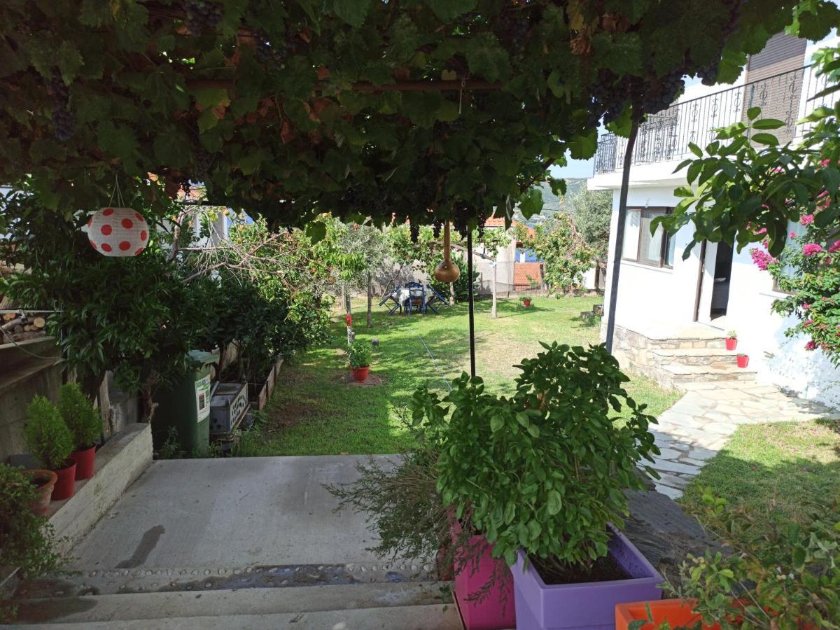 Dora'S House Comfortable Apartment With A Yard And View ピルガディキア エクステリア 写真