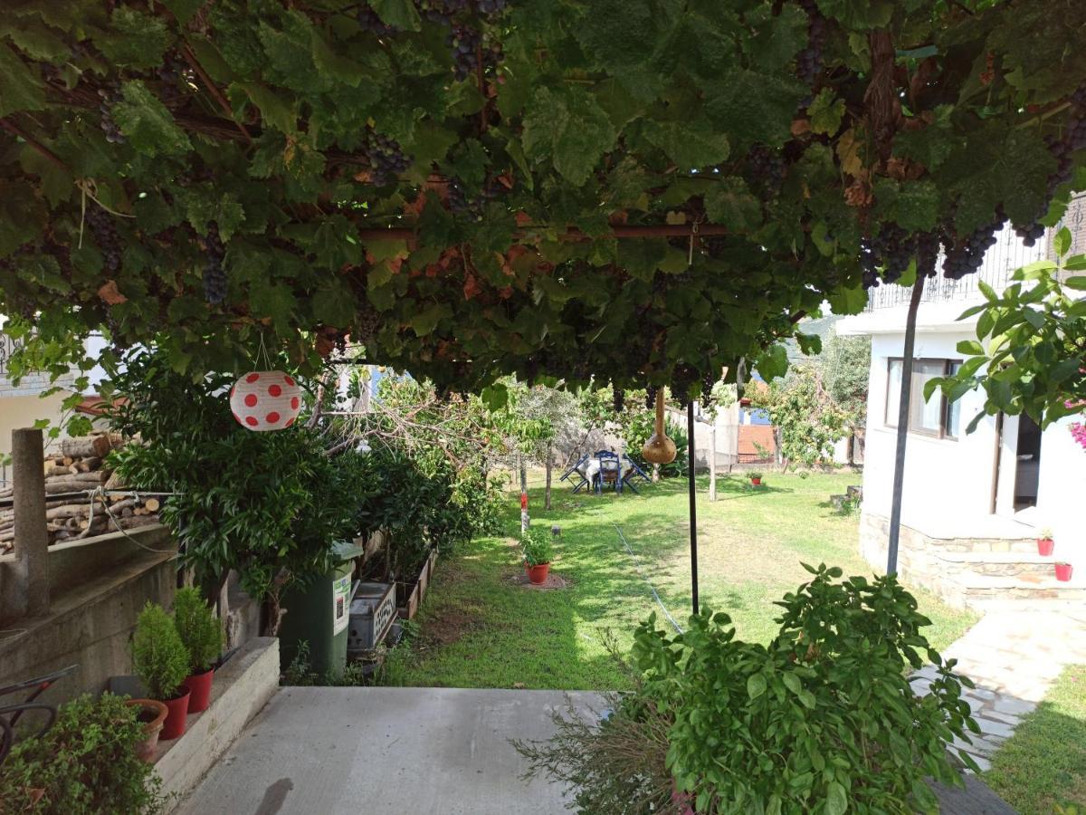 Dora'S House Comfortable Apartment With A Yard And View ピルガディキア エクステリア 写真